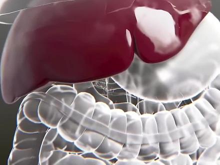 熬夜在伤害什么?肝脏承受的那些看不见的压 #科普 #熬夜