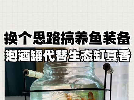 换个思路搞养鱼装备,泡酒罐代替生态缸真香 #鱼缸 #鱼缸造景 #水草造景 #彩石 #养鱼