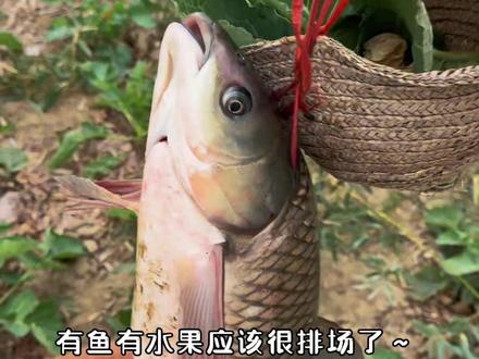 番外篇 走亲戚 #野外生存 #流浪