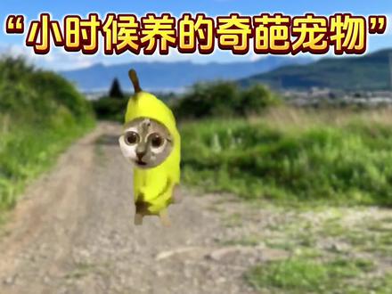 当我小时候喜欢随地捡小动物 #京东#又好又便宜#meme