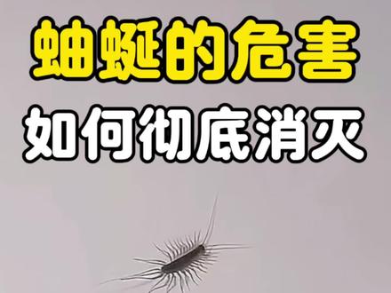 蚰蜒的危害,如何彻底消灭蚰蜒 家里爬行迅速很多腿的虫子,这个就是蛐蜒也叫草鞋底钱串子,全身都是腿有三十条腿。长得跟蜈蚣外形很相似,蚰蜒都具有毒性,如果被蚰蜒咬伤,可导致皮肤过敏、红肿。喜阴暗潮湿的环境,常出现在卧室、厕所,厨房等,昼伏夜出,活动捕食,常会爬到床铺上,对人发起攻击,还会趁睡觉时钻人耳朵,具有较强的繁殖能力和寿命长,一只蛐蜒可产卵一百五十多颗,是一种可以长期寄生在家中的虫子,想要彻底消灭蛐蜒。可以使用这款蛐蜒杀虫剂,喷洒在虫子出现和躲藏的地方,消灭虫子与虫卵,这款是无色无味的,孕婴宠家庭都可以用
#蚰蜒#蚰蜒对人有危险吗 #蚰蜒入耳 #蚰蜒怎么消灭#蚰蜒虫