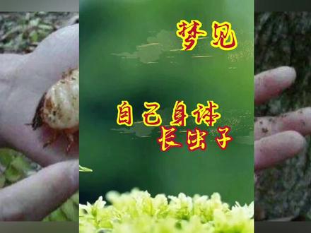 梦见自己身体长虫子拔出来,高能慎入!#周公解梦 #中华文化 #易学 #梦者 #释梦