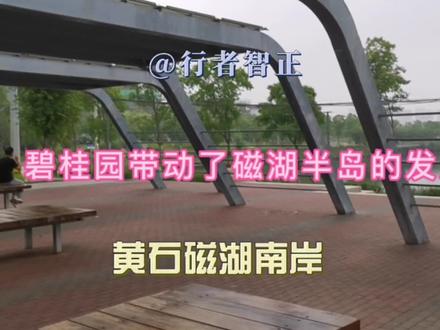 碧桂园磁湖半岛建了这么多年,现在怎么样了?磁湖南岸真不错 #磁湖 #半岛花园 #城市规划 #楼市头条