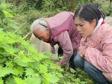 豆米火锅你们吃过没有!