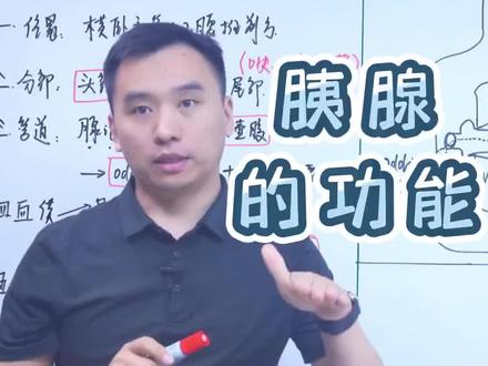 胰腺的功能#医师资格考试 #临床医学 #每天跟我涨知识 #昭昭医考 #昭昭医考延安榆林分校