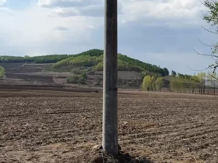 大家看到的帮着出出主意吧