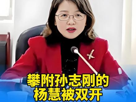 攀附孙志刚的杨慧被双开