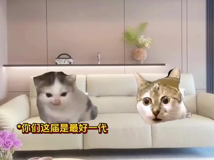 当说10后是最好一代#meme#深深的猫#10后