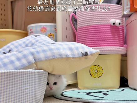 新手养猫📖幼猫到家必备好物清单✍️超详细🔍
#新手养猫 #养猫经验分享 #养猫用品推荐 #铲屎官日记 #幼猫成长记