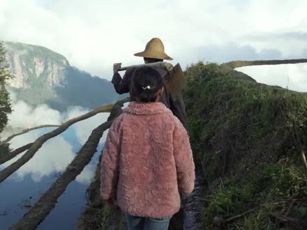 区区人类到底是怎样能创造出纵横交错的百万亩红河梯田?朴素的沟长带你一起了解~#阿者科 #元阳梯田 #乡村美景 #世界文化遗产 @DOU+小助手