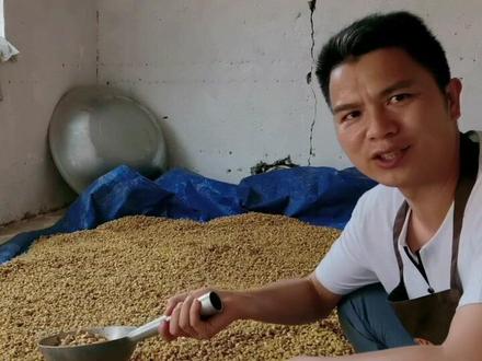 #来抖音学农技 #云枫教你学养殖 #发酵饲料 #酒糟 #养殖 养殖用酒糟发酵饲料成本低,营养好、长得快、耐保存