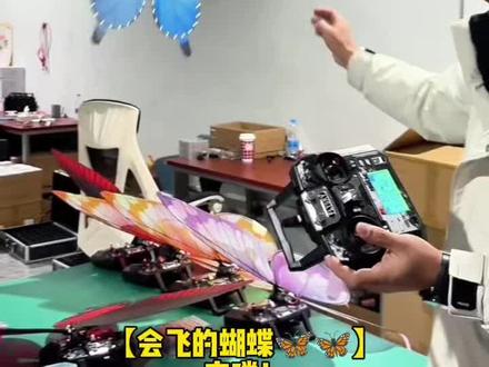 【会飞的蝴蝶🦋】来咯!👍🏻 #蝴蝶 #婚庆蝴蝶 #婚礼蝴蝶 #婚礼蝴蝶放飞 #婚庆道具 @小祝婚礼堂道具 @禧物婚庆花艺道具 @品霏婚礼堂设计施工