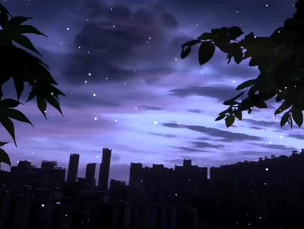 #《香水有毒》DJ版