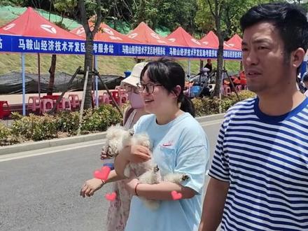 高考考场外的“特殊陪考员” 不吵不闹为小主人加油(记者:赵婷 杨峻 编辑:许玥宁)#马鞍山广播电视台 #高考加油#小婷帮你忙