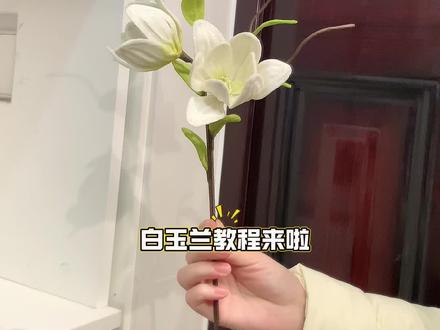 白玉兰教程来啦🌸🌸🌸 白玉兰花语:友谊长存和纯洁的爱情。#玉兰花 #手工教程 #手工花朵制作方法 #扭扭棒 #教程