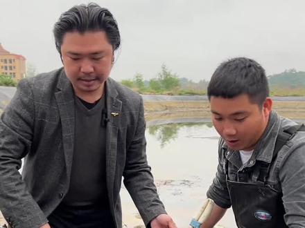 高启强卖一年鱼就发家了,我养了几年鱼却很迷茫#鱼塘老板 #新农人计划2023 #狂飙高启强