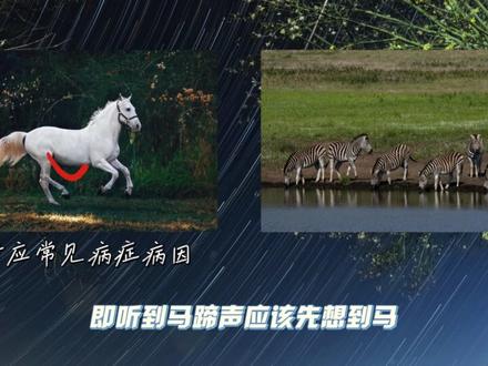 【奥卡姆剃刀】别把事儿想厚了