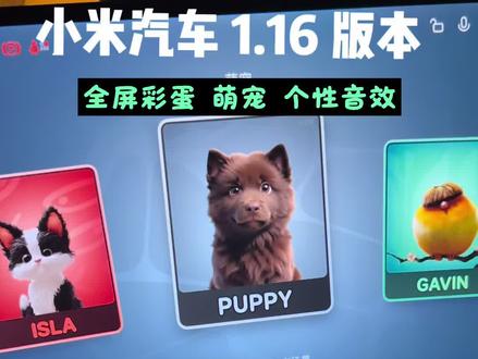 小米su7带着萌宠和个性音效来啦! 小米su71.16版本更新来啦,更多好玩的diy等你来解锁#小米su7 #小米汽车ota #我和我的小米汽车