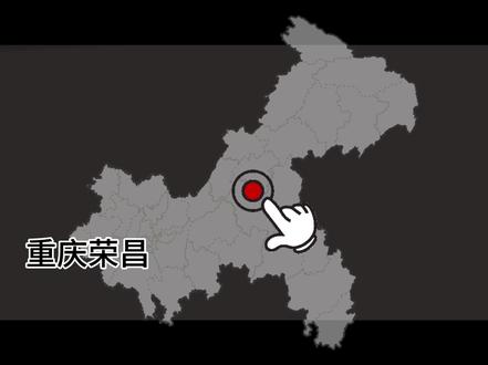 12| 为尝卤鹅夜奔重庆荣昌,千里迢迢我来了,卤鹅哥你在哪里 #重庆 #荣昌 #卤鹅 #重庆美食 #卤鹅哥
