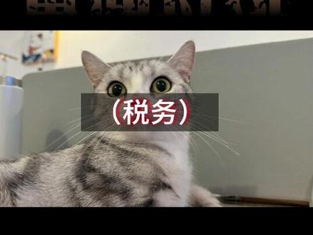 电商征管近况