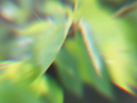 张遮真的是白月光一样的存在
#坤宁 #广播剧 #声优都是怪物 #张遮