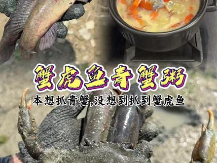 本想去抓青蟹,没想到遇到蟹虎鱼,太惊喜了! #蟹虎鱼 #青蟹 #赶海 #人间观察计划 #真实生活分享计划
