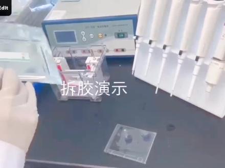预制胶使用方法演示#wb实验 #蛋白电泳