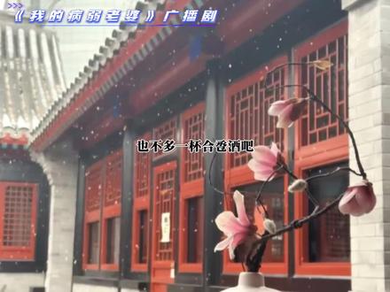 #我的病弱老婆#广播剧 #漫播 小郡王刚出新手村就遇见了顶级魅魔。