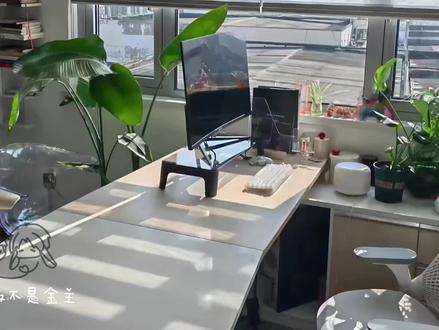 是老板不是金主 521快乐呀各位#朱苏 #棍铲 #干干脆脆