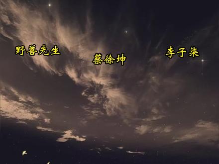 互联网三大顶流,每一个都兼具大格局与硬实力 #蔡徐坤 #野兽先生 #李子柒