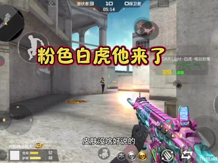 粉色白虎他来了#cf