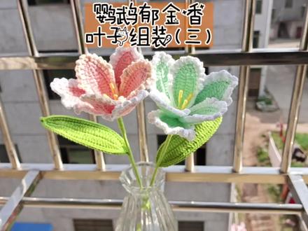 鹦鹉郁金香钩织教程三#教程 #手工编织 #花