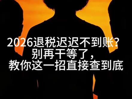 2026退税迟迟不到账?别再干等了,教你这一招直接查到底!#退税查询 #美国生活 #2026退税季 #税务干货 #加州生活