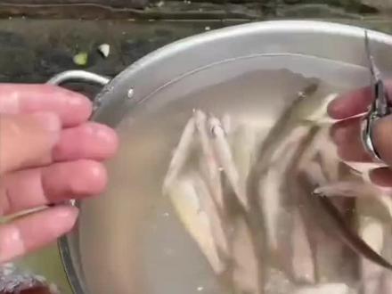 不是鱼肠子 也不是鱼油 这是什么?