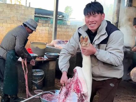 今天我家杀猪喽,订婚的火腿已经准备好了,小玖等着我来啊 #我的乡村生活 #杀猪