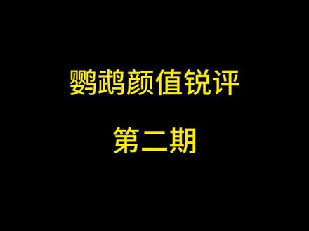 我家孩子能当童模吗?#鹦鹉童模 #鹦鹉颜值 #虎皮鹦鹉