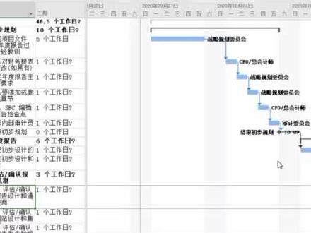 第8集 | Project操作技巧:如何改造甘特图?#project #项目管理 @DOU+小助手