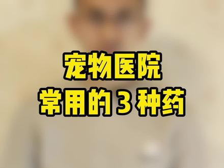 宠物医院用到最多的3种药,它们分别治什么病#宠物医院 #宠物医生 #宠物药品 #萌宠 #养宠