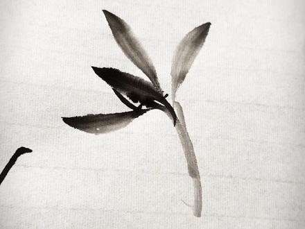 兰花怎么画? #兰花 #兰花画法 #国画教程 #零基础学画画 #墨兰