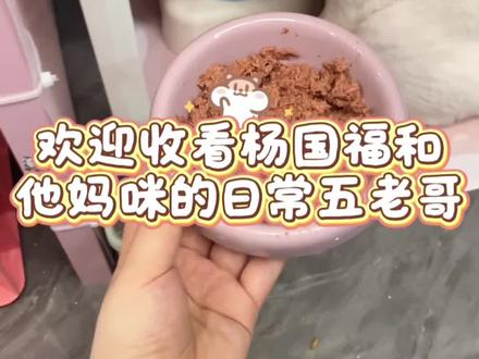 想纯冻干喂养 有什么建议吗老婆们#萌宠vlog日常 #创作者中心 #创作灵感 #可爱猫咪日常 #分享猫咪日常