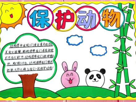 保护动物手抄报模板作业,简单漂亮的手抄报#保护动物 #保护动物手抄报 #保护动物人人有责 #万花尺 #手抄报作业