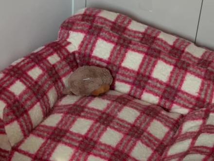 荣耀年度夯机,荣耀WIN上手,有问必答!
#手机数码 #荣耀WIN #数码科技 #手机