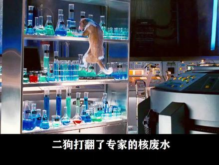 狗狗意外喝下核废水,基因突变成了超级英雄 #影视解说