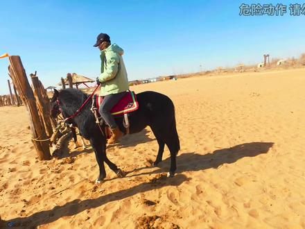 马不愿意出门调训二,一言不合就起扬➕倒地不起🙄#驯马 #马匹调训 #马背上的民族 #vlog日常 #上热搜