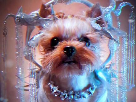 没点真骨头 哪能盘出这么漂亮的白骨夫人