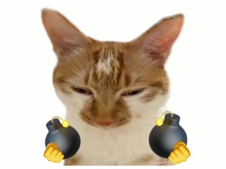 以上平板均可更新originos7系统#originos7 #拍机堂淘机 #平板