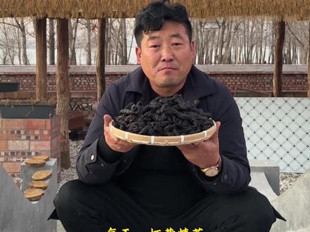 伏牛山九蒸九晒黄精.古法炮制.这一小片黄精里,封存着日月轮回的密码…#九蒸九晒黄精