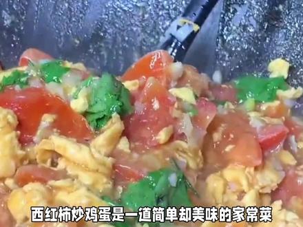 小学生作文怎么写《番茄炒蛋》 #番茄炒蛋 #西红柿炒鸡蛋 #小学生作文 #作文素材 #作文素材积累