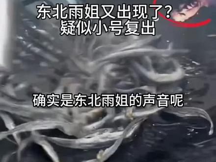 东北雨姐小号出现,疯狂试探平台底线 #东北雨姐#瓜子二手车