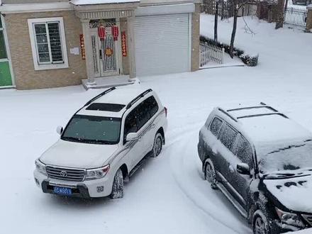 我们东北的习俗大年初三放鞭炮,儿子回来冒着大雪点燃了一卦大地红,#年味 浓浓#带你看雪 @抖音小助手